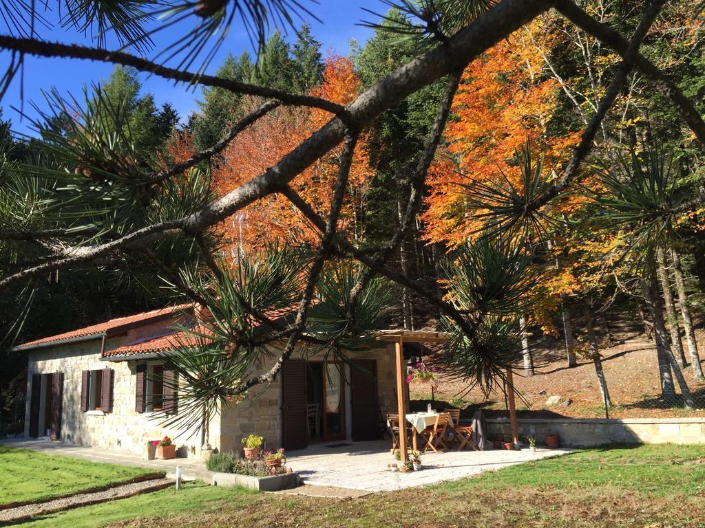 Casa Camporino Poppi Quarto foto