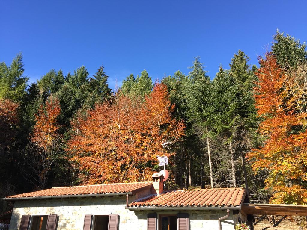 Casa Camporino Poppi Quarto foto